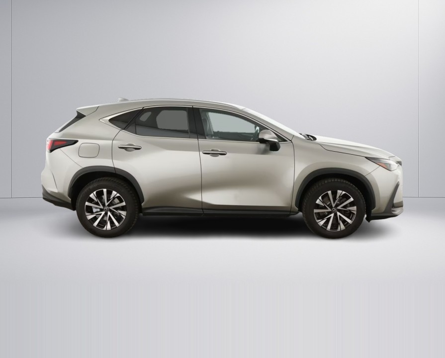Lexus Seria NX 450h+ (2)