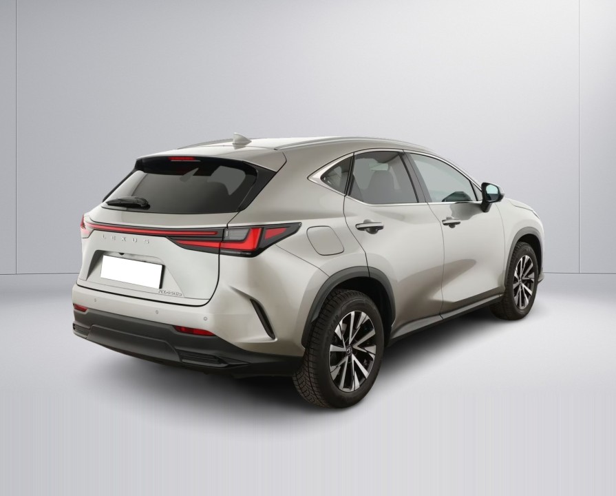 Lexus Seria NX 450h+ (3)