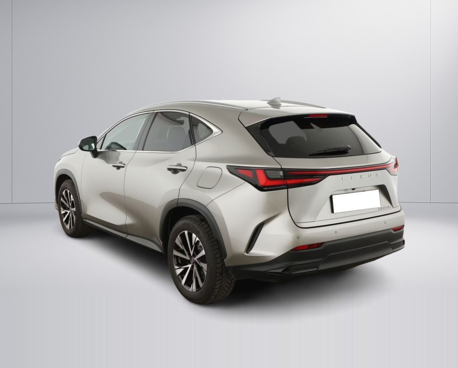 Lexus Seria NX 450h+ (5)