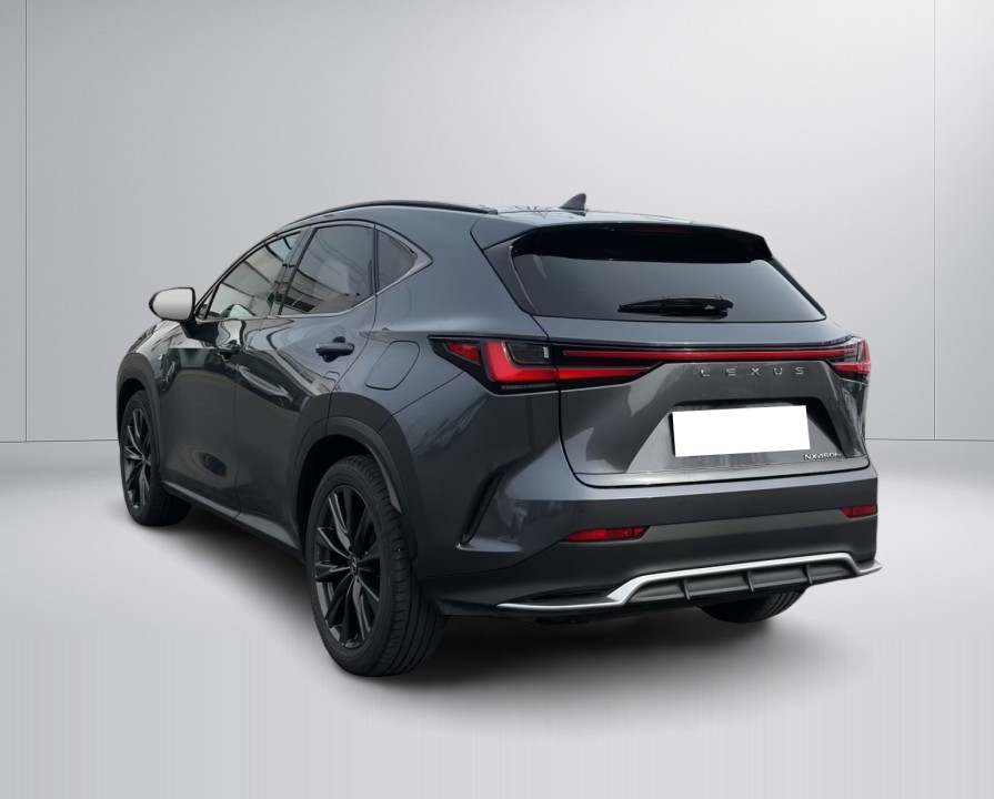 Lexus Seria NX 450h+ F-Sport (5)