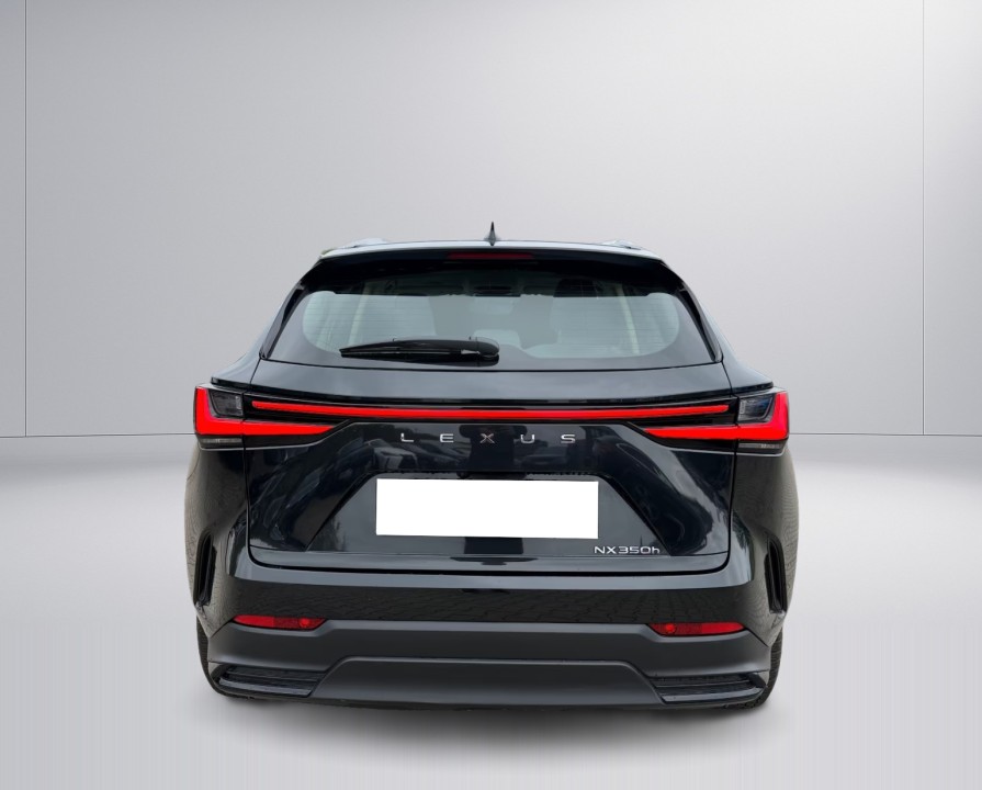 Lexus Seria NX 350h FWD Executive Line (3)