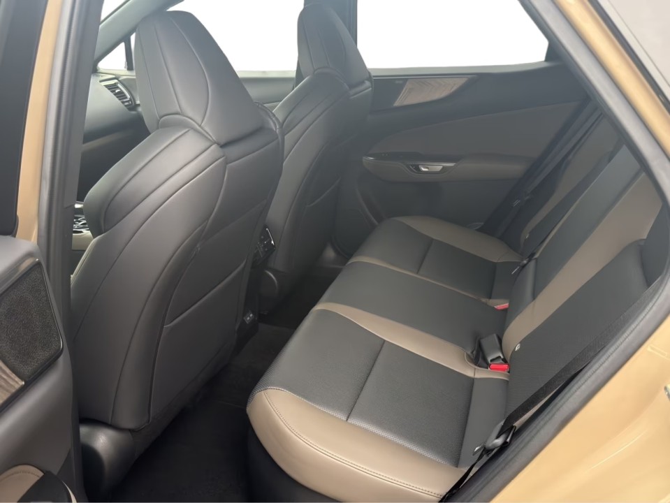 Lexus Seria NX 350h AWD Overtrail - foto 16