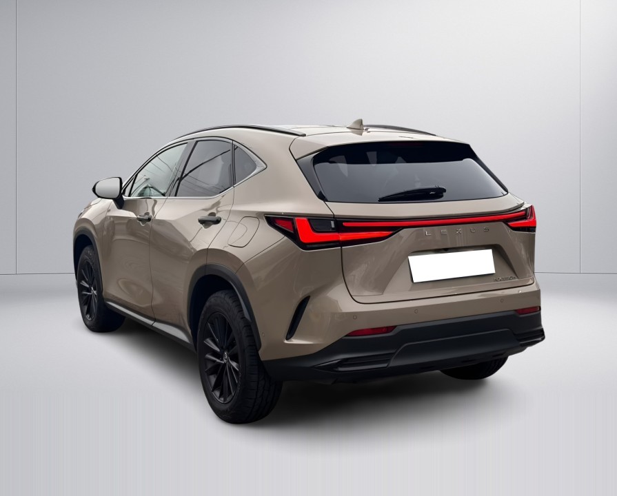 Lexus Seria NX 350h AWD Overtrail (5)