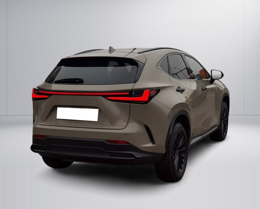 Lexus Seria NX 350h AWD Overtrail (3)