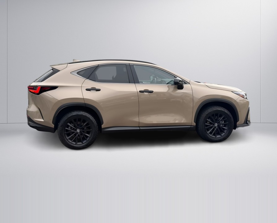 Lexus Seria NX 350h AWD Overtrail (2)