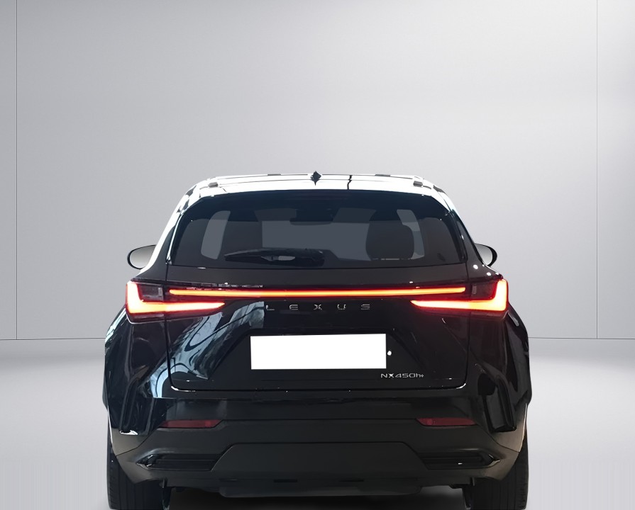 Lexus Seria NX 450h+ Executive Line (4)
