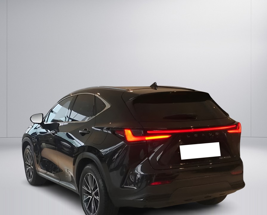 Lexus Seria NX 450h+ Executive Line (5)