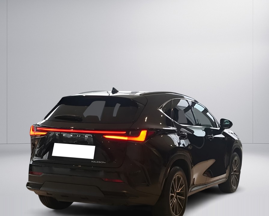 Lexus Seria NX 450h+ Executive Line (3)