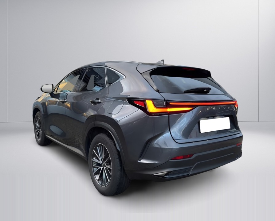 Lexus Seria NX 450h+ (5)