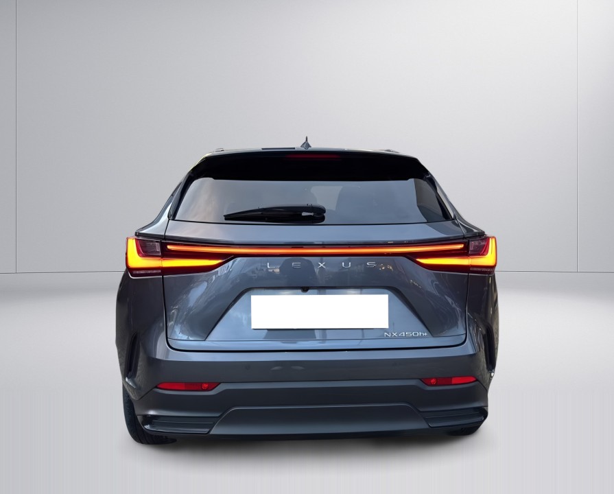 Lexus Seria NX 450h+ (4)