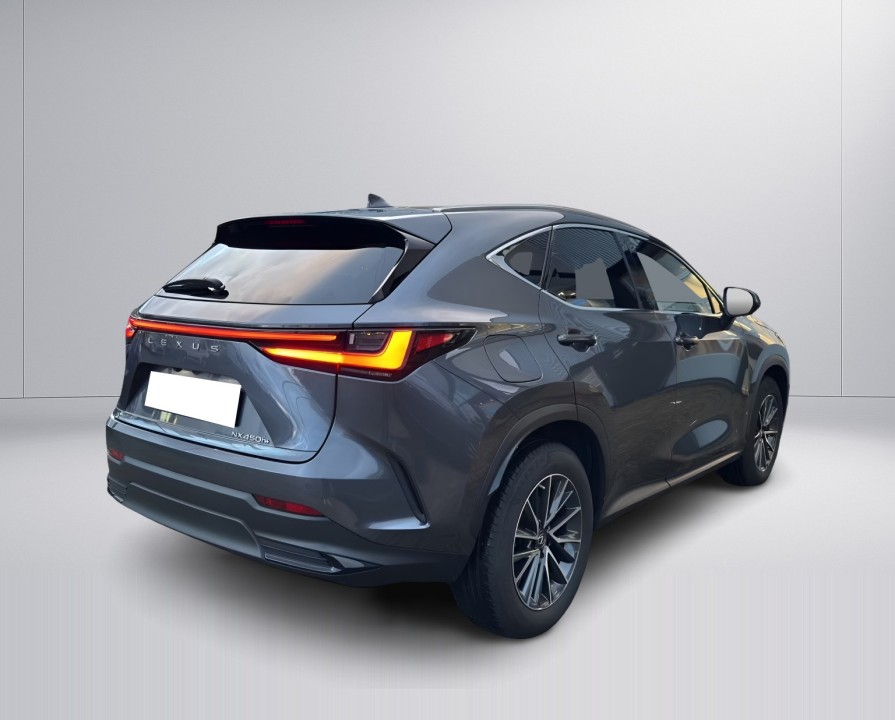 Lexus Seria NX 450h+ (3)