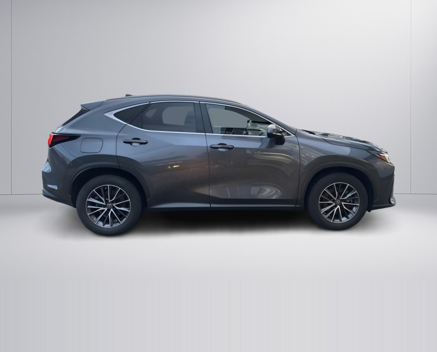 Lexus Seria NX 450h+ (2)