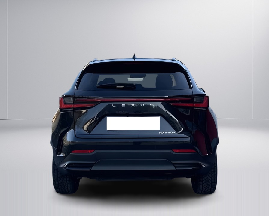 Lexus Seria NX 350h AWD Executive (4)