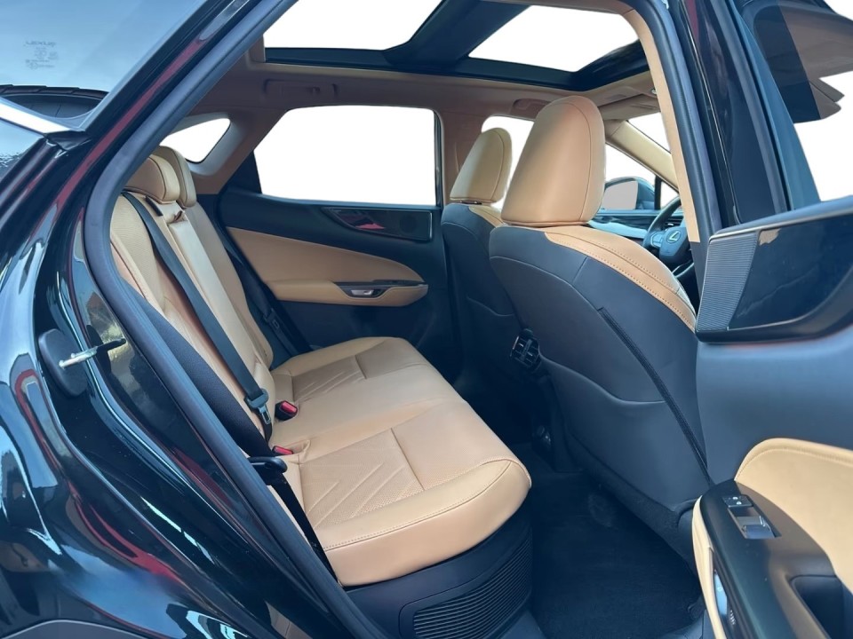 Lexus Seria NX 350h AWD Executive - foto 14