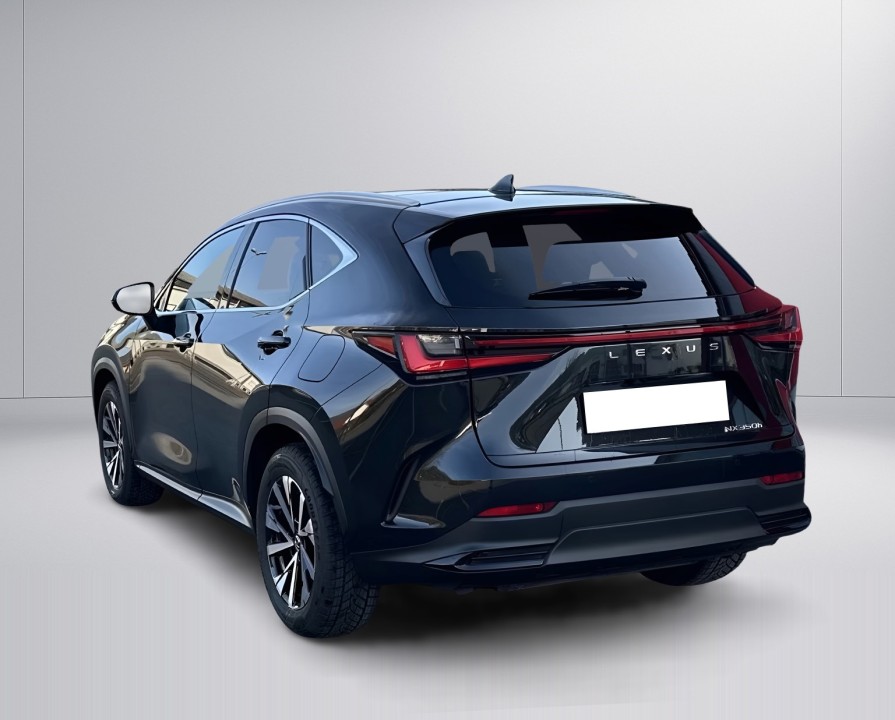 Lexus Seria NX 350h AWD Executive (5)