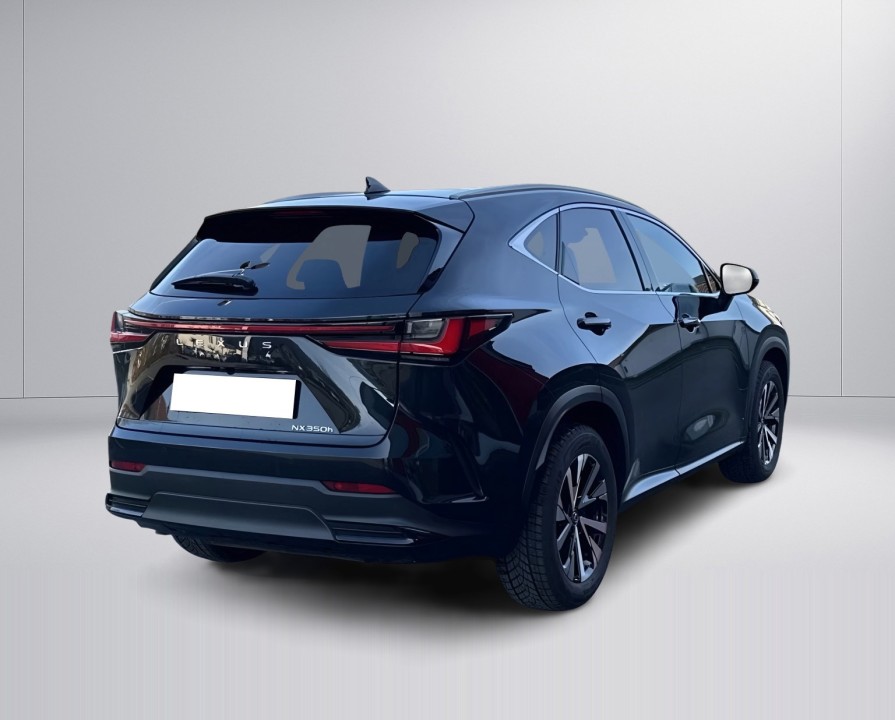 Lexus Seria NX 350h AWD Executive (3)