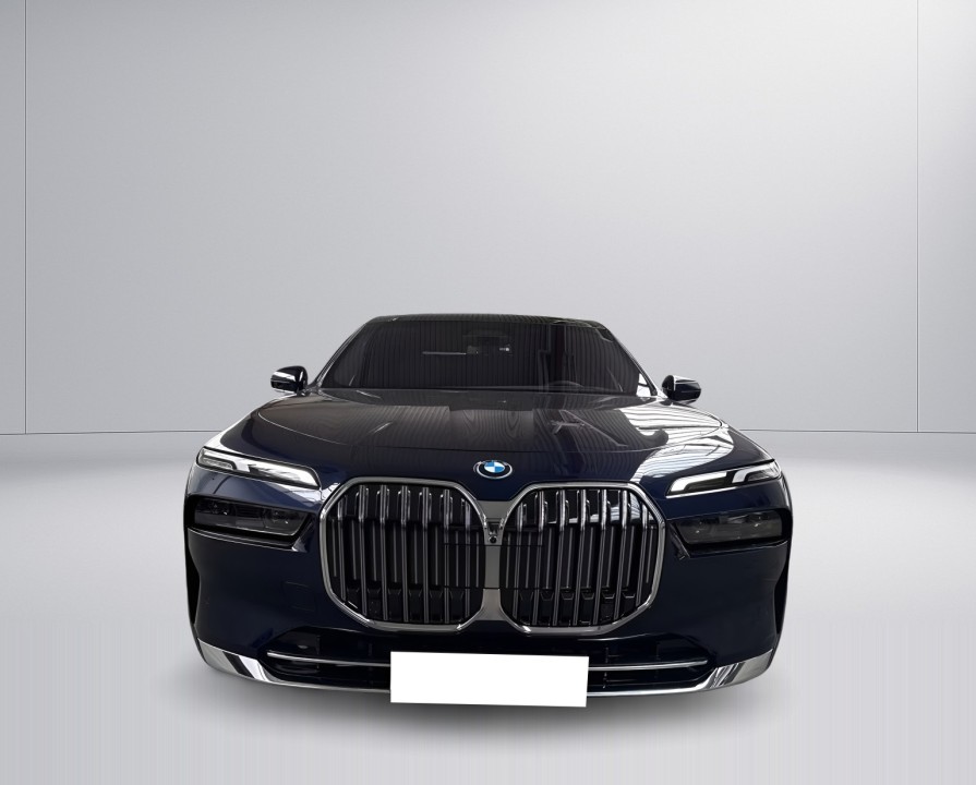 BMW Seria 7 xDrive750e (5)