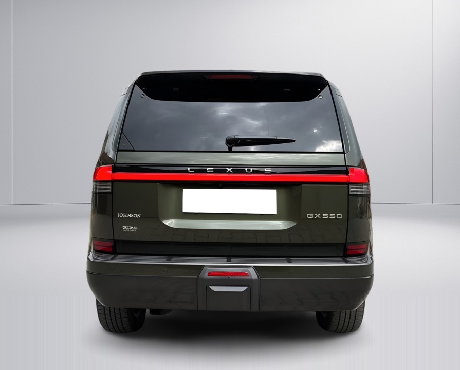 Lexus Seria GX 550 Luxury (5)