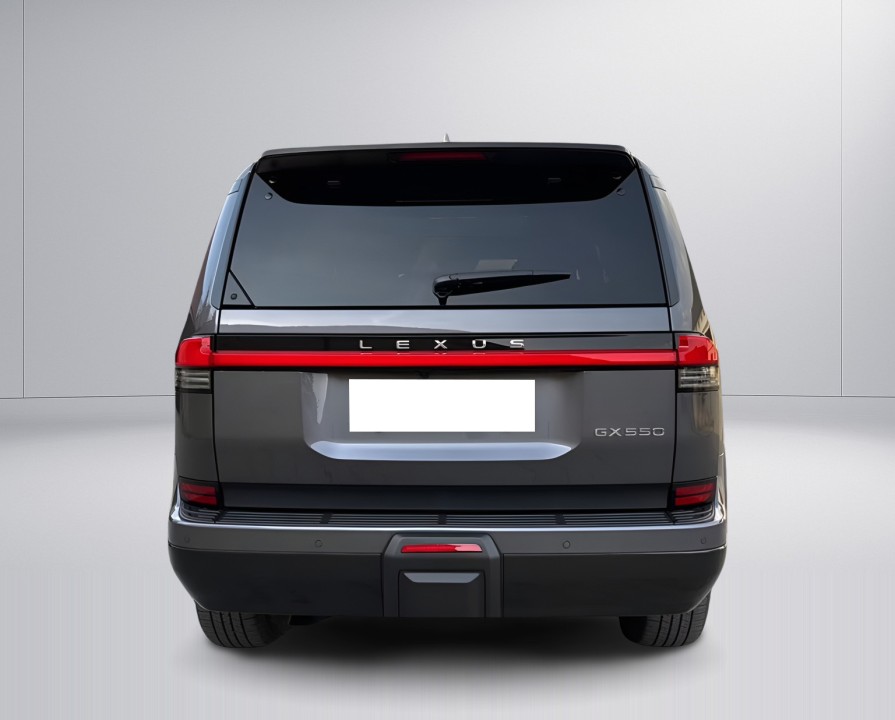 Lexus Seria GX 550 Luxury Plus (4)