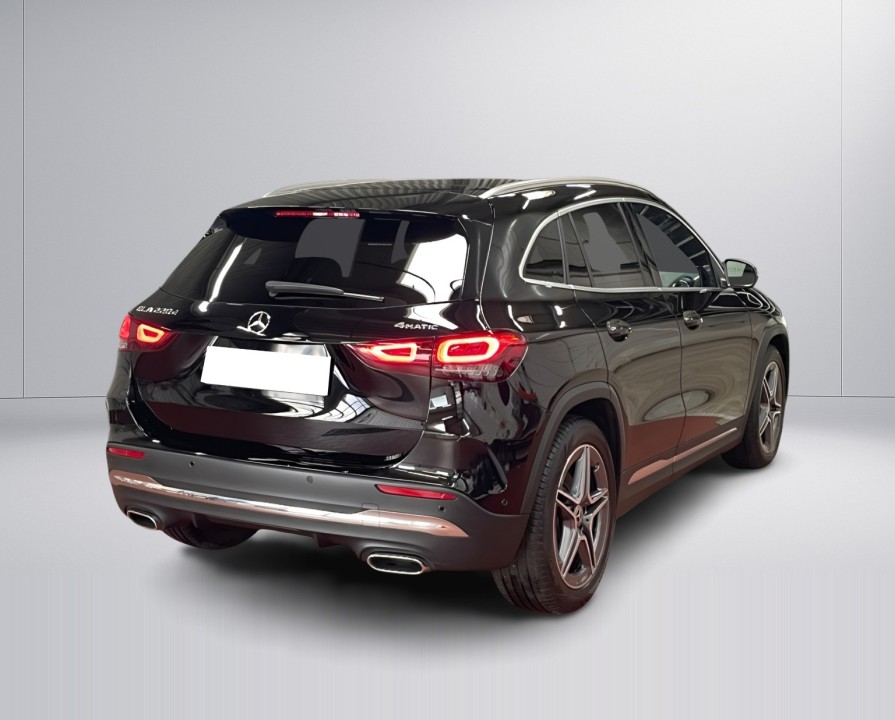 Mercedes-Benz GLA 220d 4MATIC AMG Line (5)