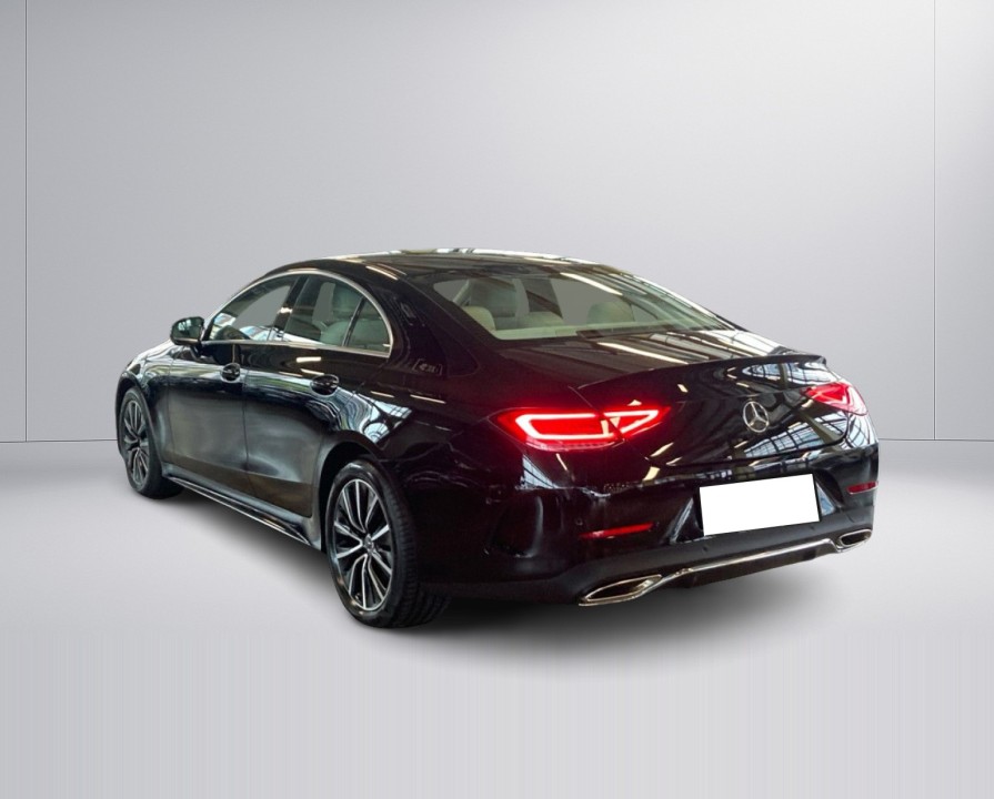 Mercedes-Benz CLS 450 4MATIC (5)