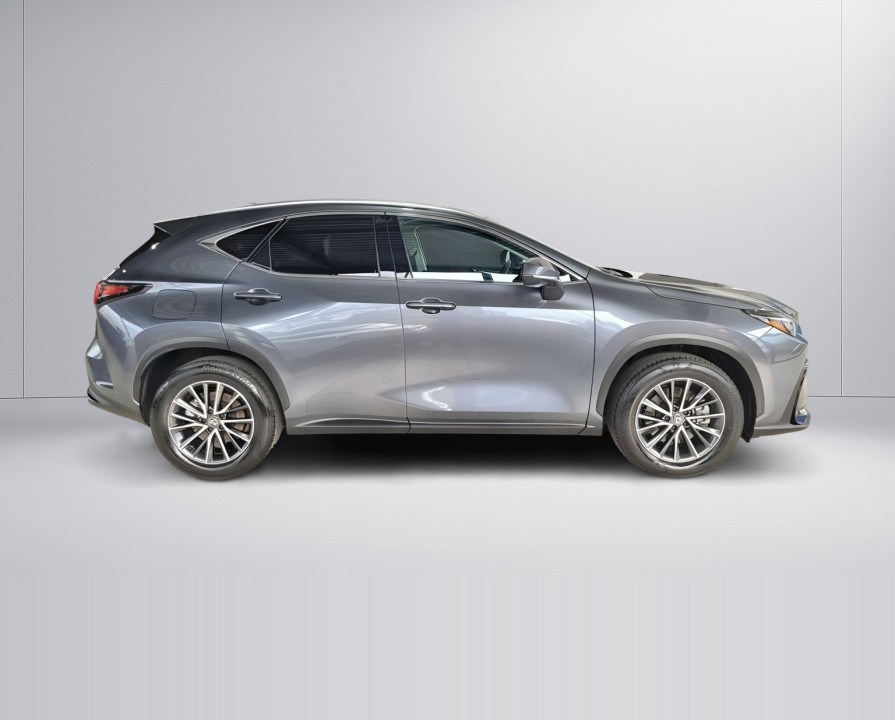 Lexus Seria NX 450h+ (4)