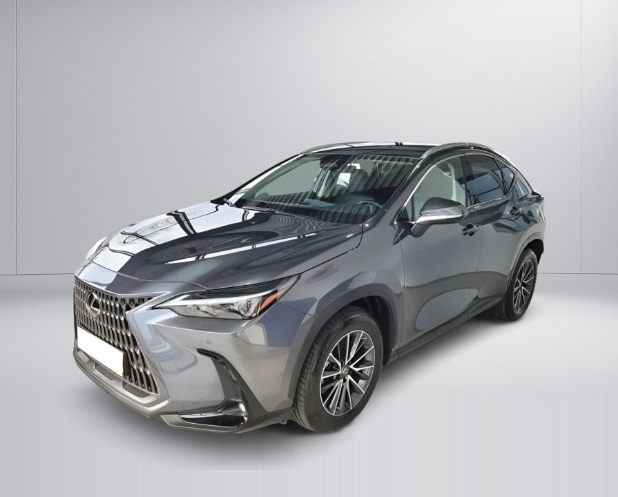 Lexus Seria NX 450h+ (3)