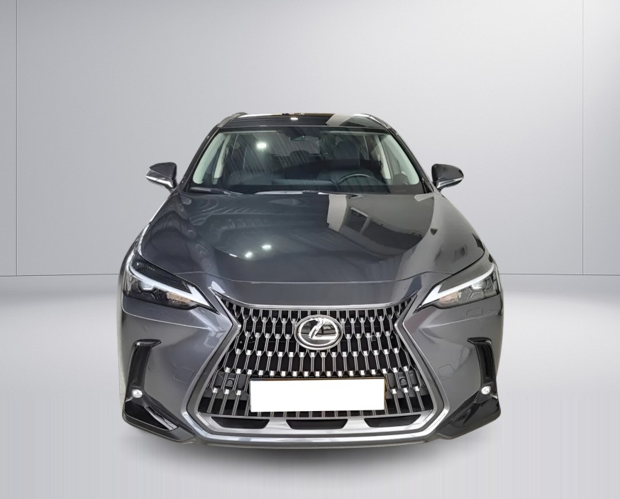 Lexus Seria NX 450h+ (2)