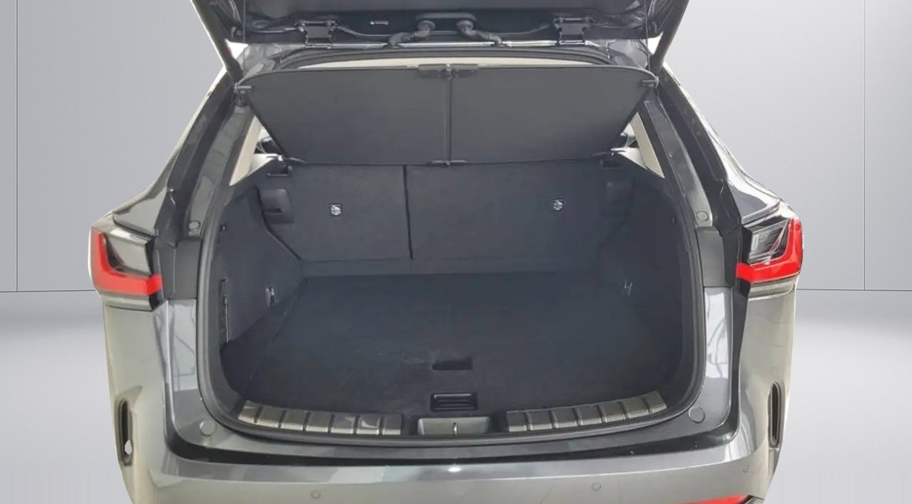 Lexus Seria NX 450h+ - foto 24