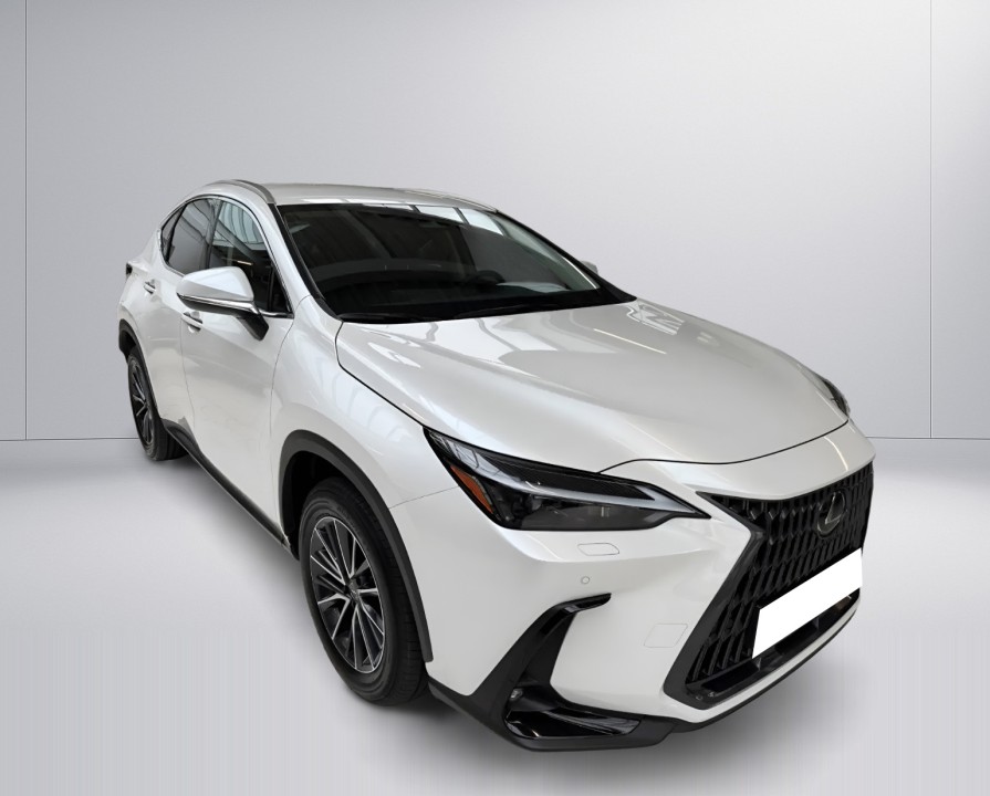 Lexus Seria NX 450h+ Business Line (1)
