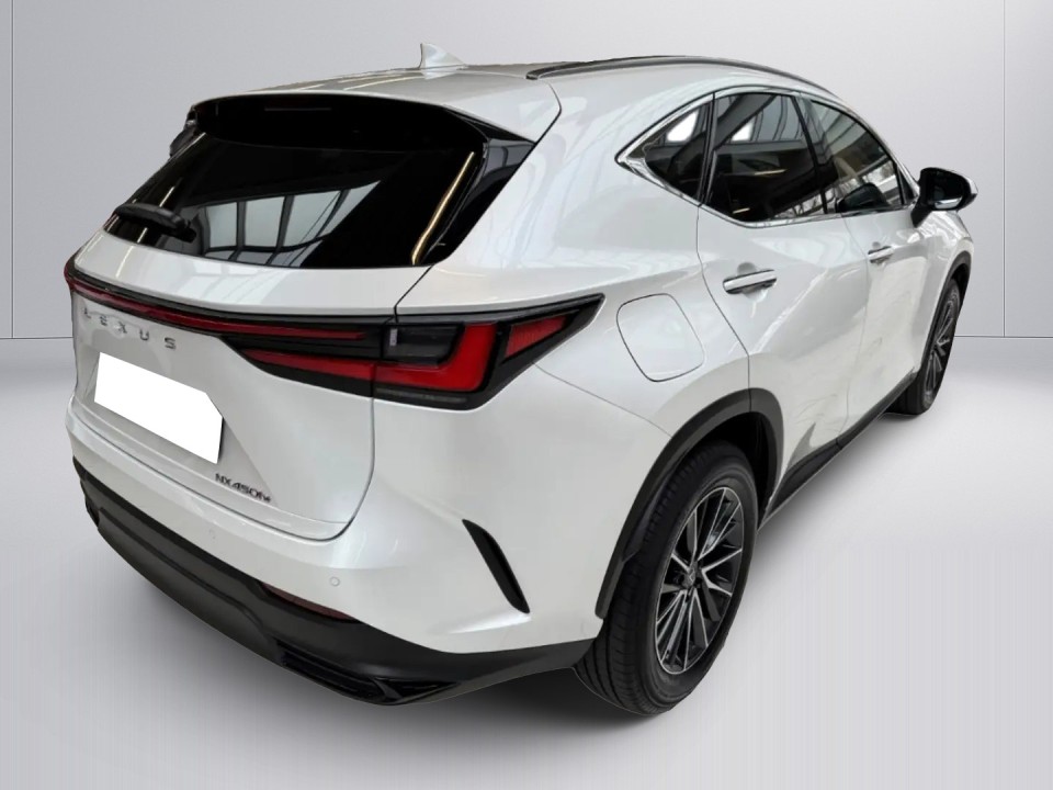 Lexus Seria NX 450h+ Business Line (4)