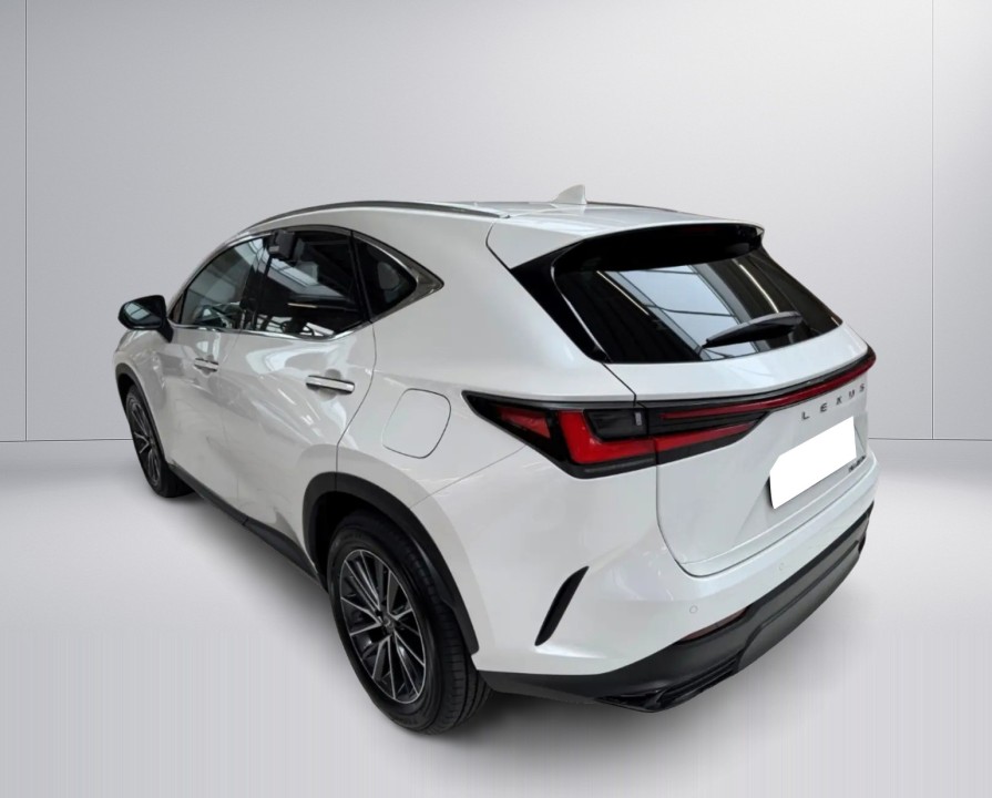 Lexus Seria NX 450h+ Business Line (3)