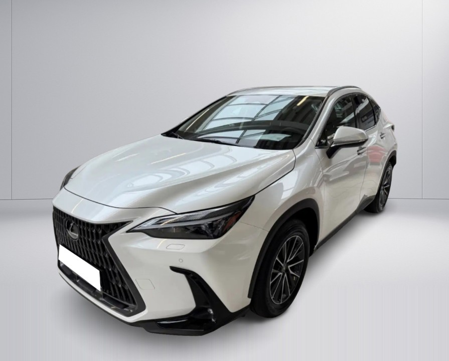Lexus Seria NX 450h+ Business Line (2)