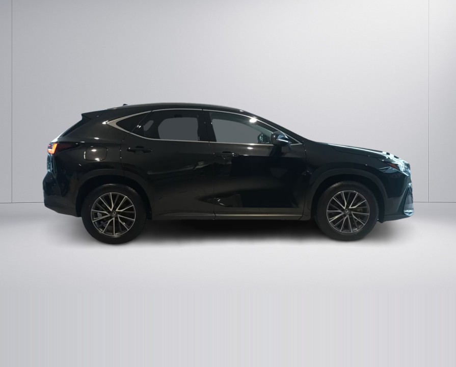 Lexus Seria NX 450h+ AWD Executive Line (2)