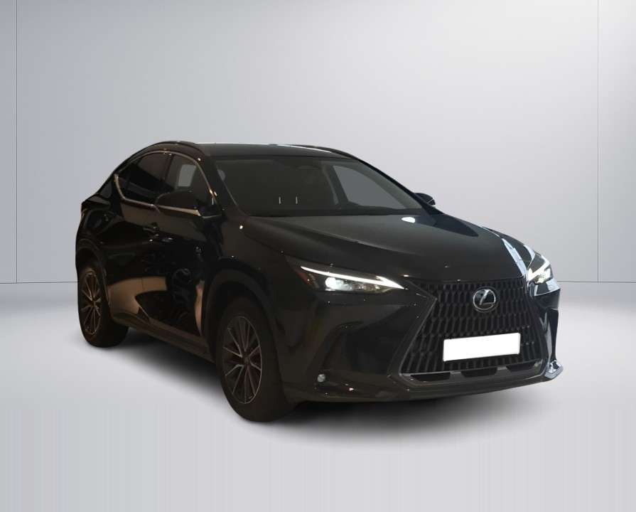 Lexus Seria NX 450h+ AWD Executive Line (1)