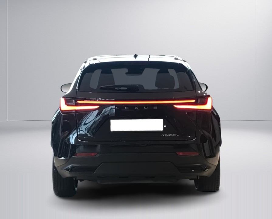 Lexus Seria NX 450h+ AWD Executive Line (4)