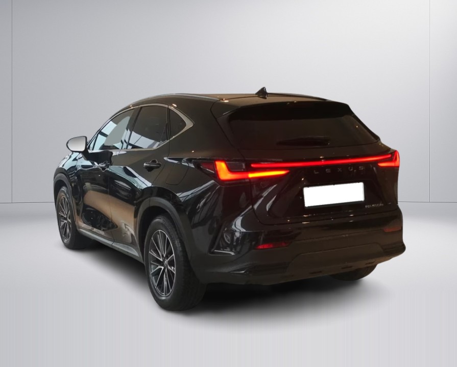 Lexus Seria NX 450h+ AWD Executive Line (5)