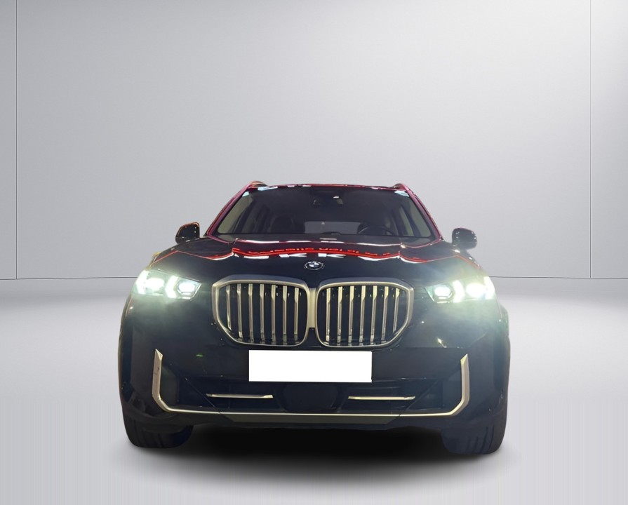 BMW X5 xDrive50e - foto 10