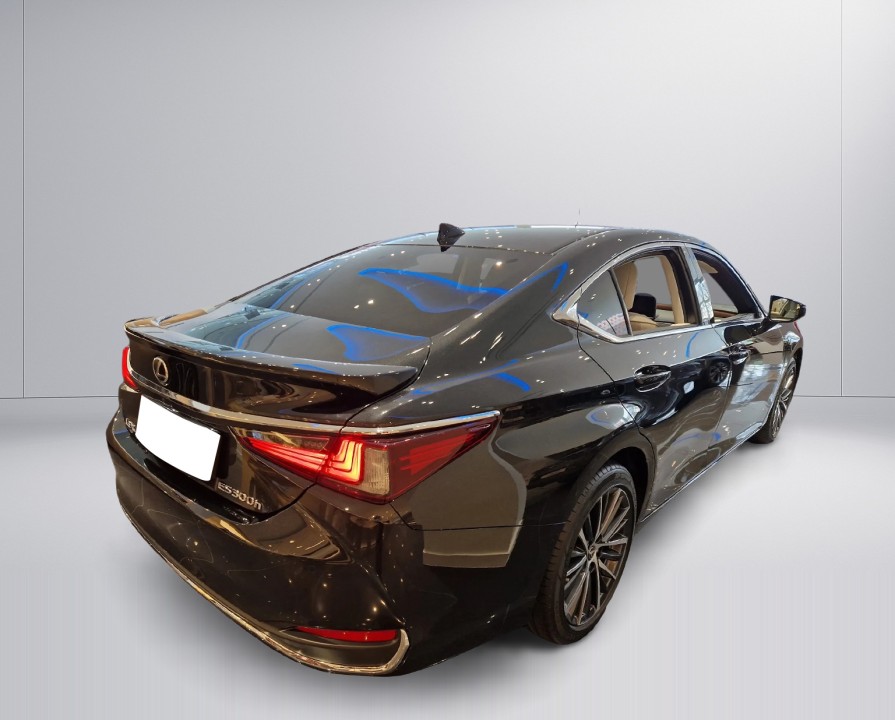 Lexus Seria ES 300h Prestige (2)