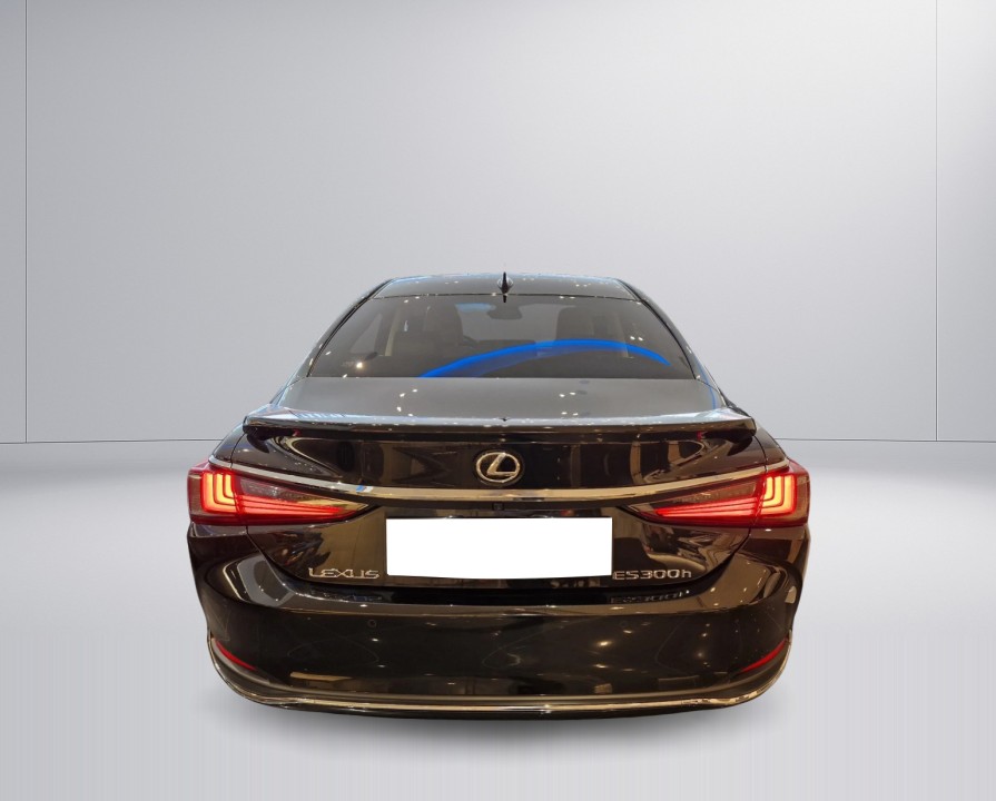 Lexus Seria ES 300h Prestige (3)