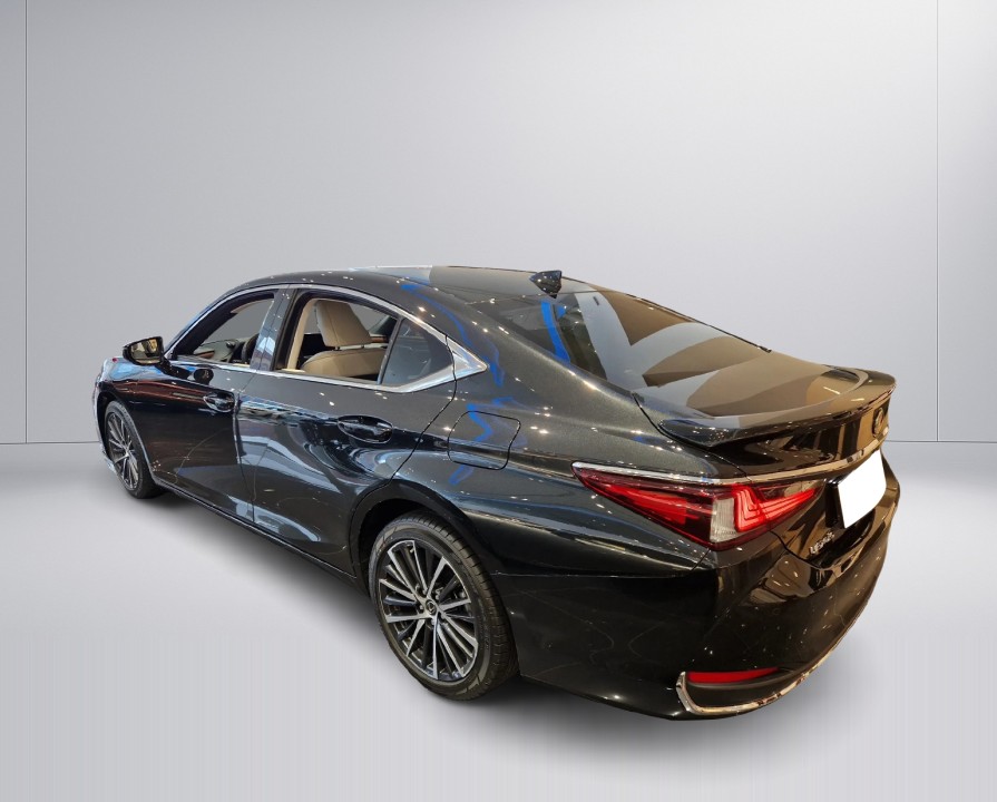 Lexus Seria ES 300h Prestige (4)