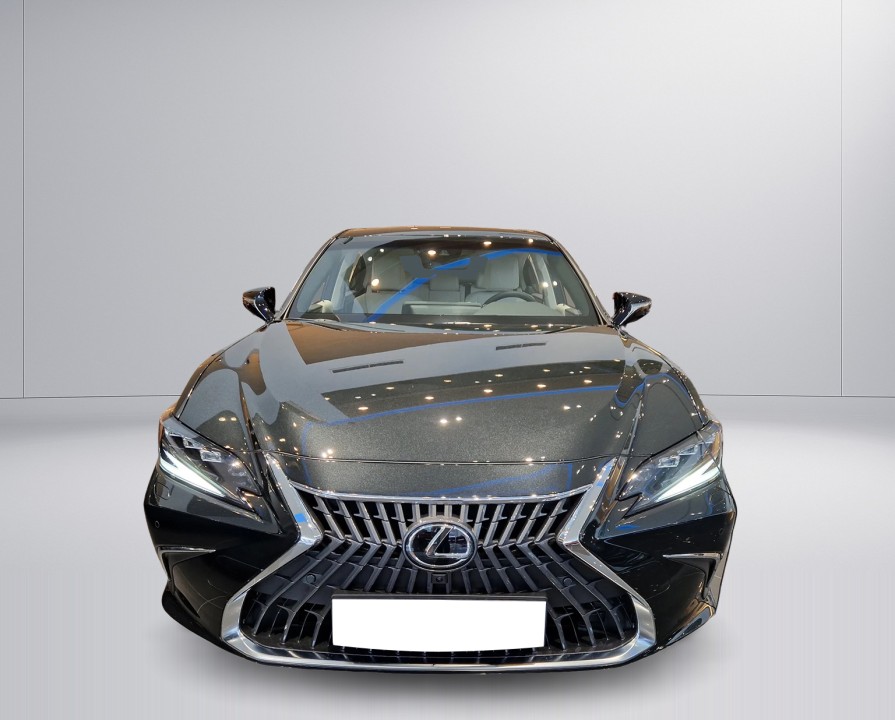 Lexus Seria ES 300h Prestige (5)