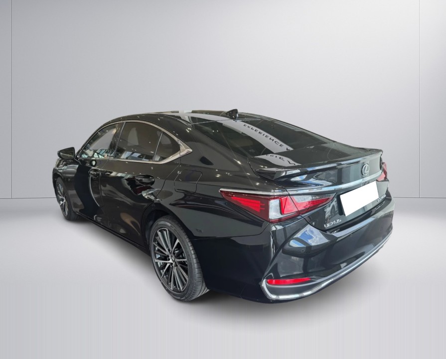 Lexus Seria ES 300h Prestige (3)
