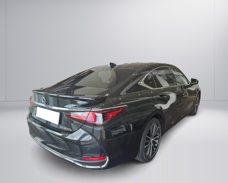 Lexus Seria ES 300h Prestige (2)