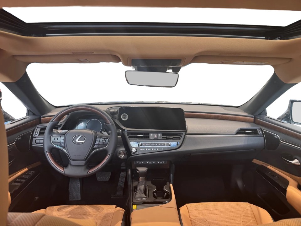 Lexus Seria ES 300h Prestige (5)
