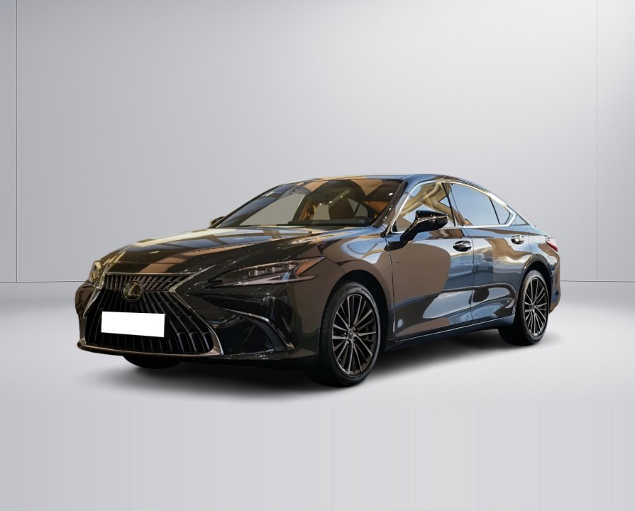 Lexus Seria ES 300h Prestige (4)