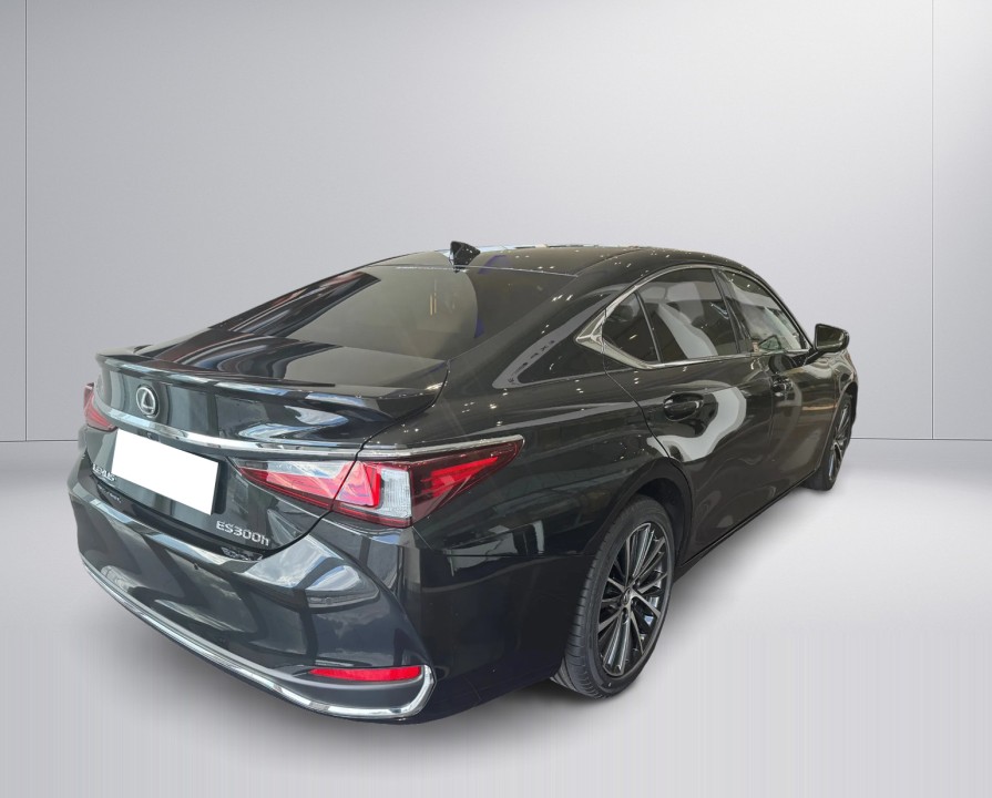 Lexus Seria ES 300h Prestige (4)