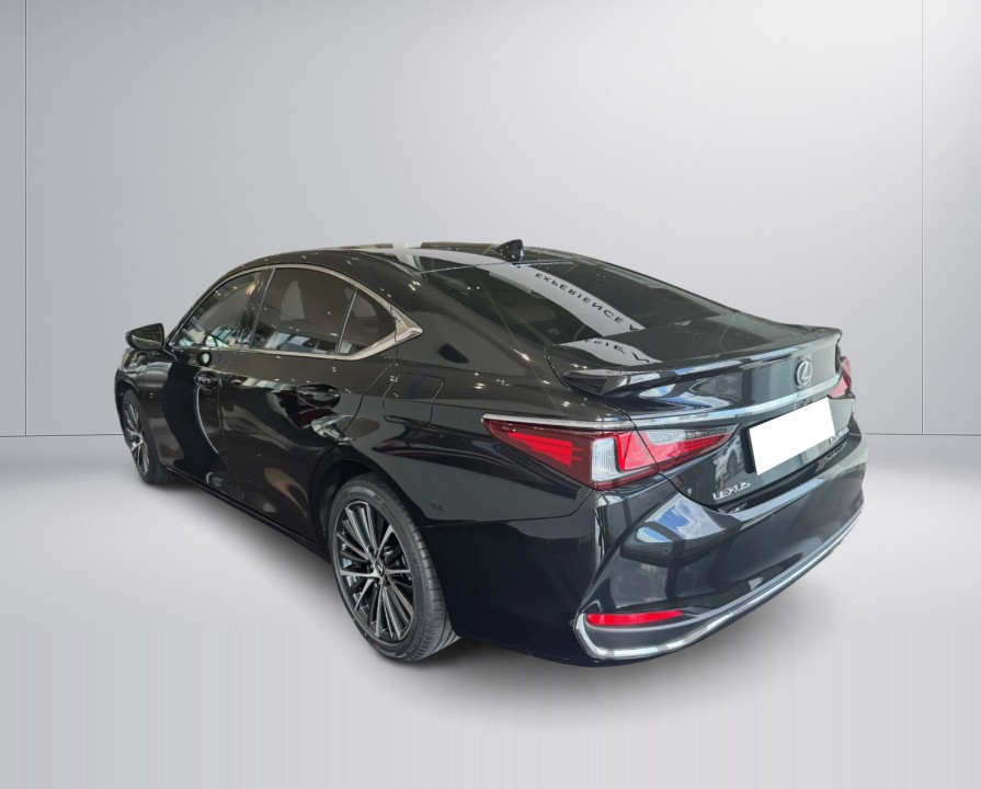 Lexus Seria ES 300h Prestige (3)