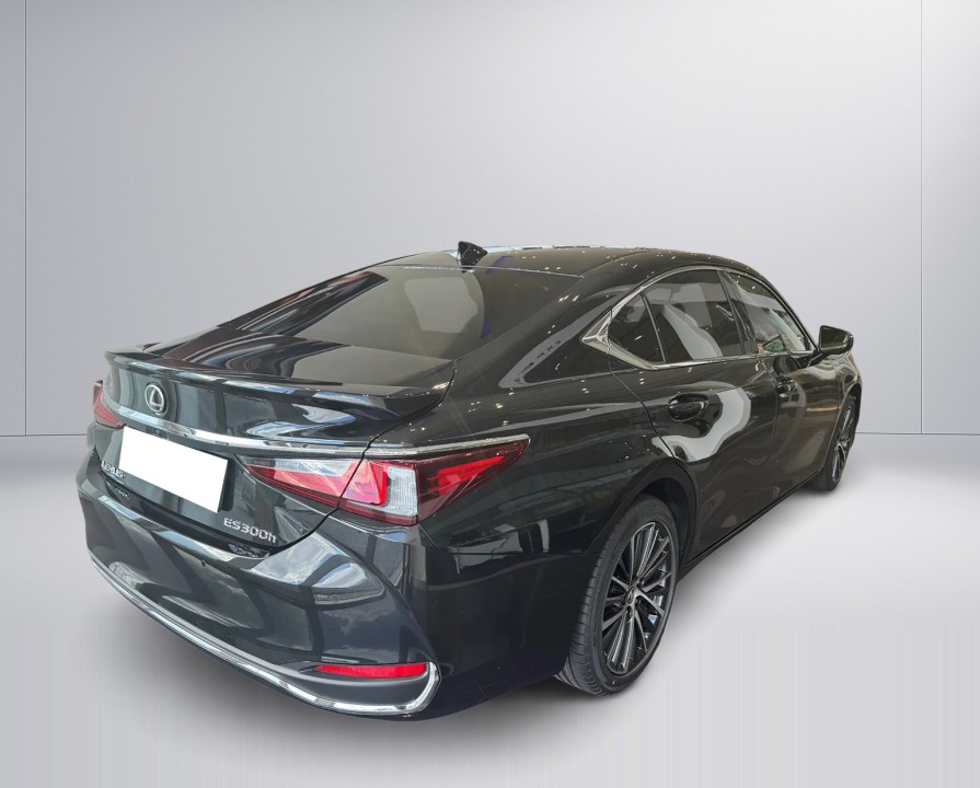 Lexus Seria ES 300h Prestige (2)