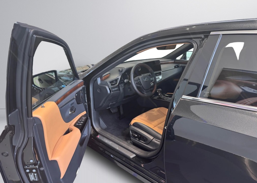 Lexus Seria ES 300h Prestige (5)